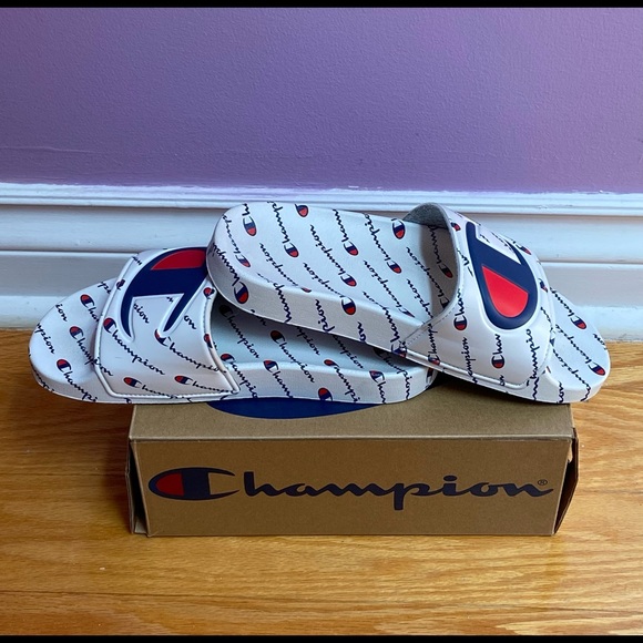 Champion Slides - Picture 3 of 3